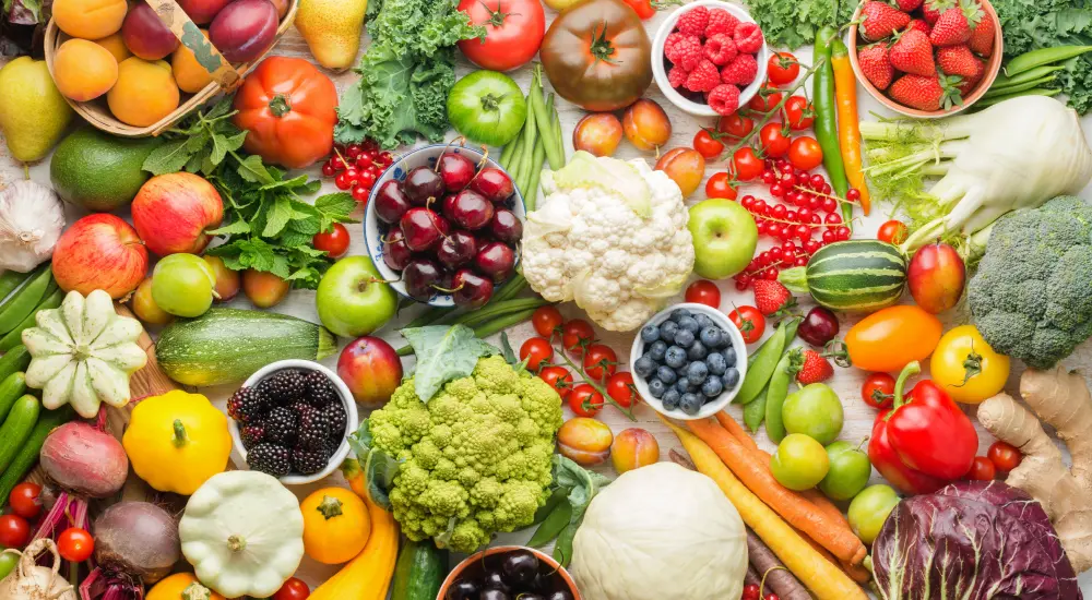 Nutrition Wellness